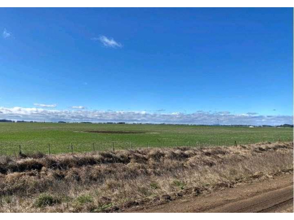 CAMPO 431 HAS, AGRICOLA, DE LA CANAL, TANDIL, BS.AS, ARGENTINA - 3