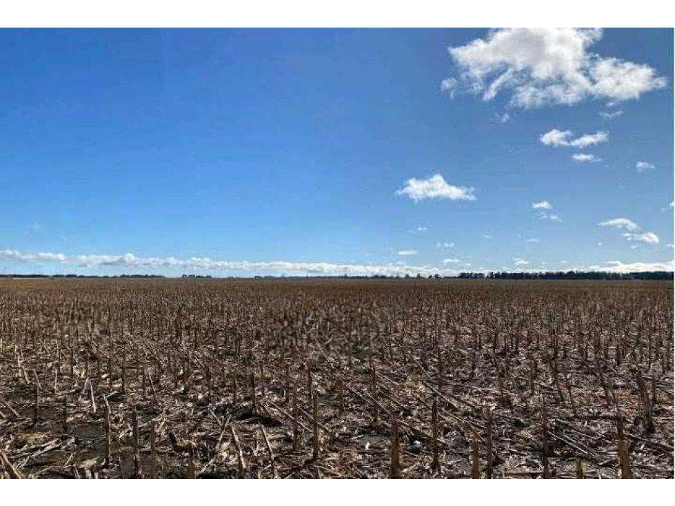 CAMPO 431 HAS, AGRICOLA, DE LA CANAL, TANDIL, BS.AS, ARGENTINA - 4
