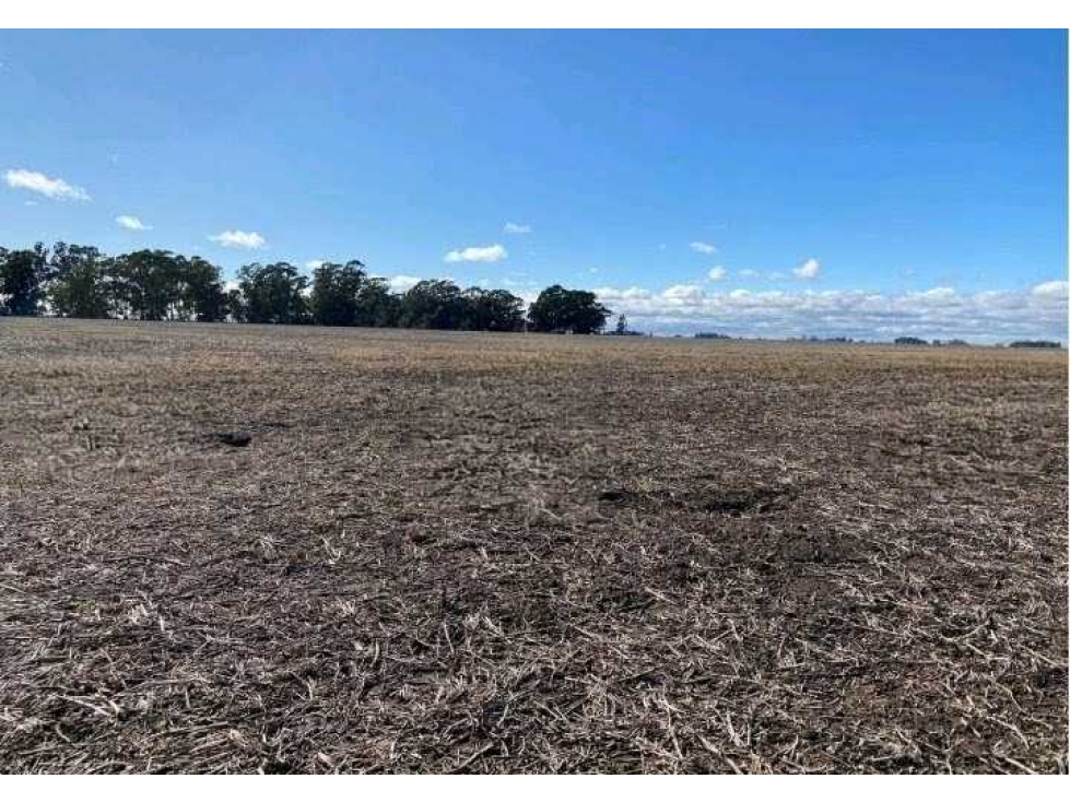 CAMPO 431 HAS, AGRICOLA, DE LA CANAL, TANDIL, BS.AS, ARGENTINA - 6