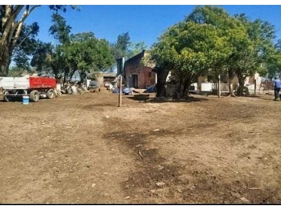 CAMPO 43 HECTAREAS, MIXTO, OLAVARRIA, BUENOS AIRES, ARGENTINA - 3