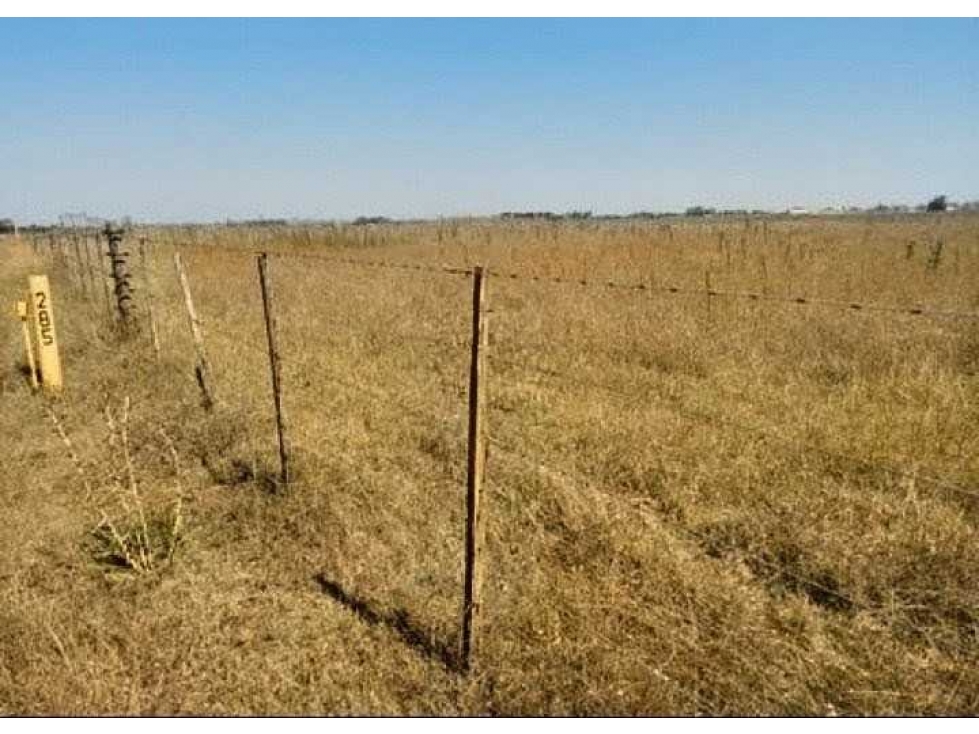 CAMPO 43 HECTAREAS, MIXTO, OLAVARRIA, BUENOS AIRES, ARGENTINA - 4
