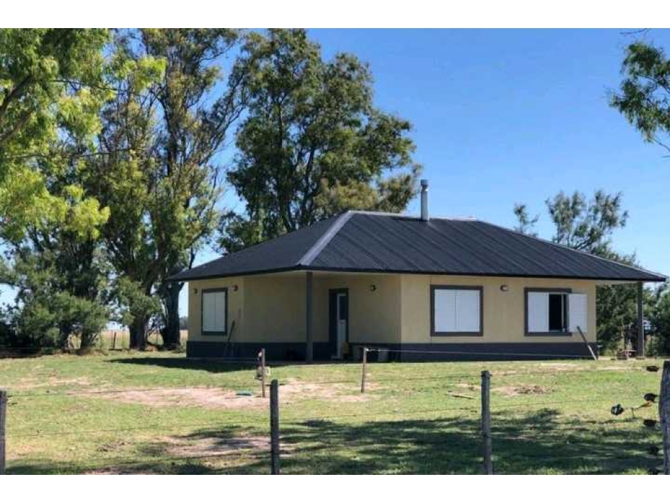 CAMPO 450 HECTAREAS, GANADERO, GENERAL ALVEAR, BUENOS AIRES, ARGENTINA - 1