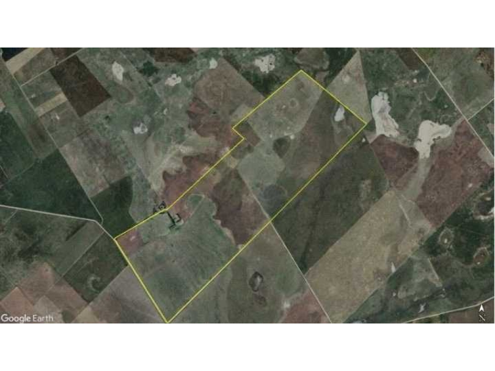 CAMPO 450 HECTAREAS, GANADERO, TRES ARROYOS, BUENOS AIRES, ARGENTINA - 2