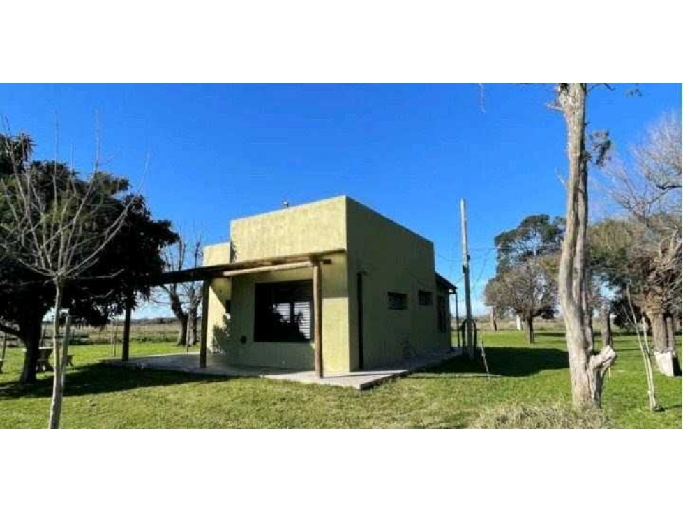 CAMPO 45 HAS AGRICOLAS, LOBOS, BUENOS AIRES, ARGENTINA - 4
