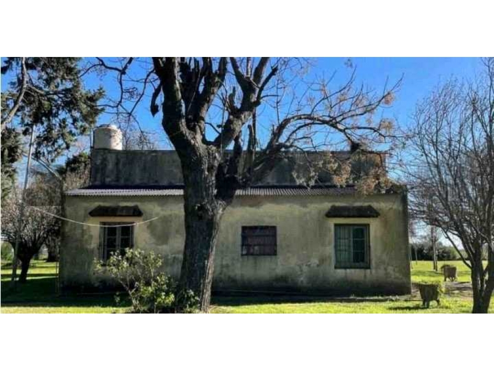 CAMPO 45 HAS AGRICOLAS, LOBOS, BUENOS AIRES, ARGENTINA - 5