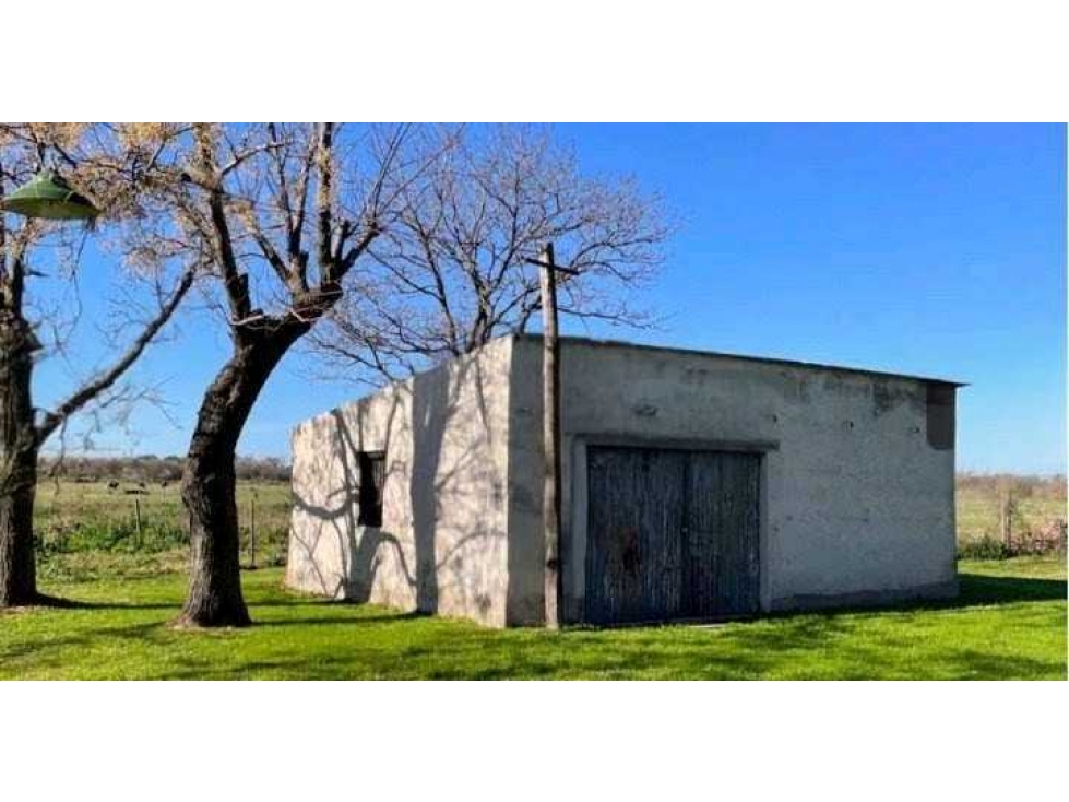 CAMPO 45 HAS AGRICOLAS, LOBOS, BUENOS AIRES, ARGENTINA - 6