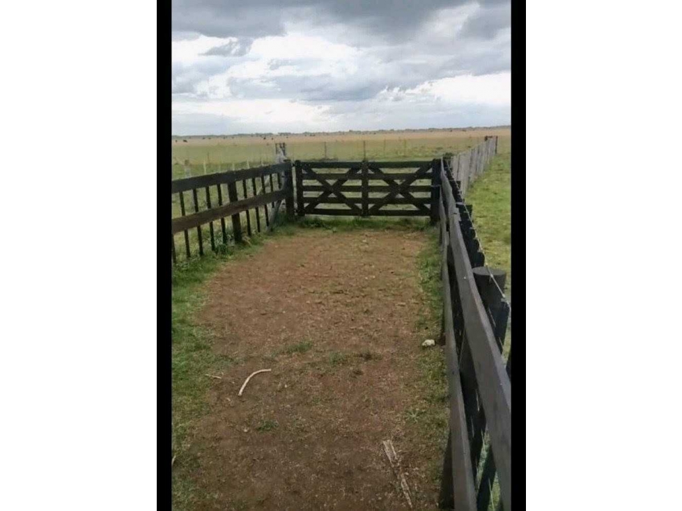 CAMPO 461 HECTAREAS, MIXTO, OLAVARRIA, BUENOS AIRES, ARGENTINA - 4