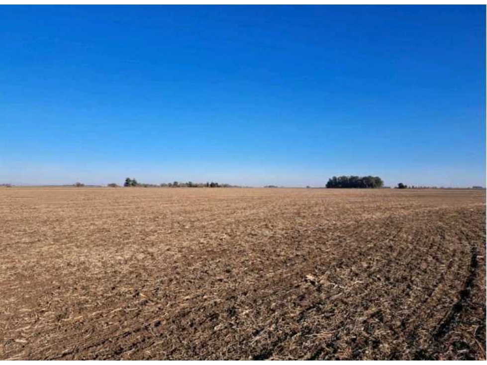 CAMPO 468 HAS AGRICOLAS, 25 DE MAYO, PCIA.BUENOS AIRES, ARGENTINA - 4
