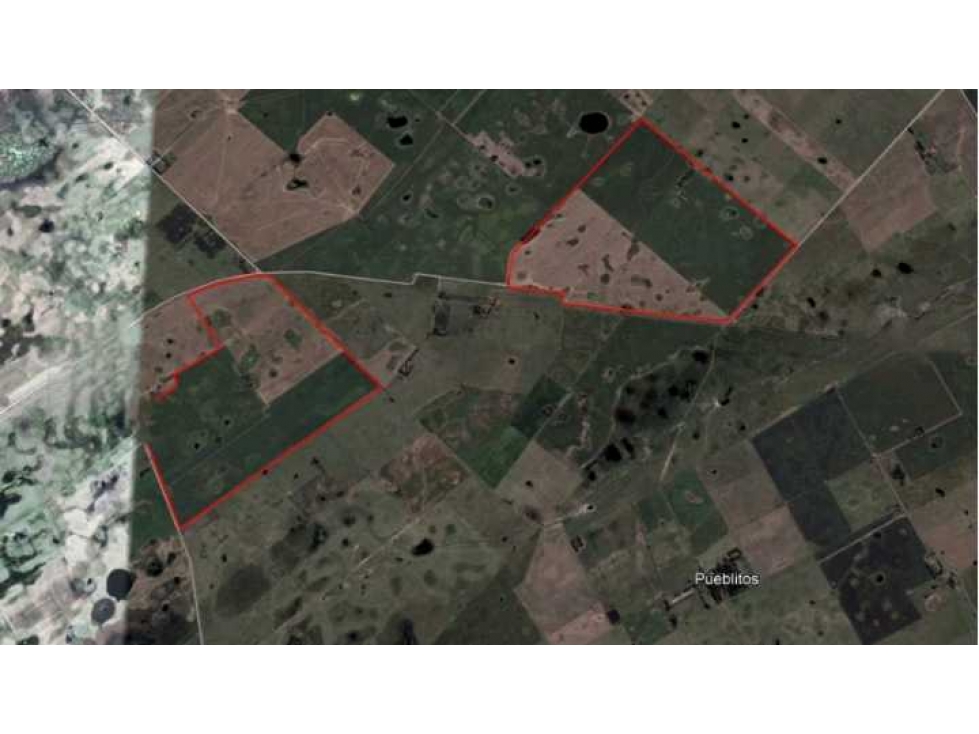 CAMPO 468 HAS AGRICOLAS, 25 DE MAYO, PCIA.BUENOS AIRES, ARGENTINA - 3