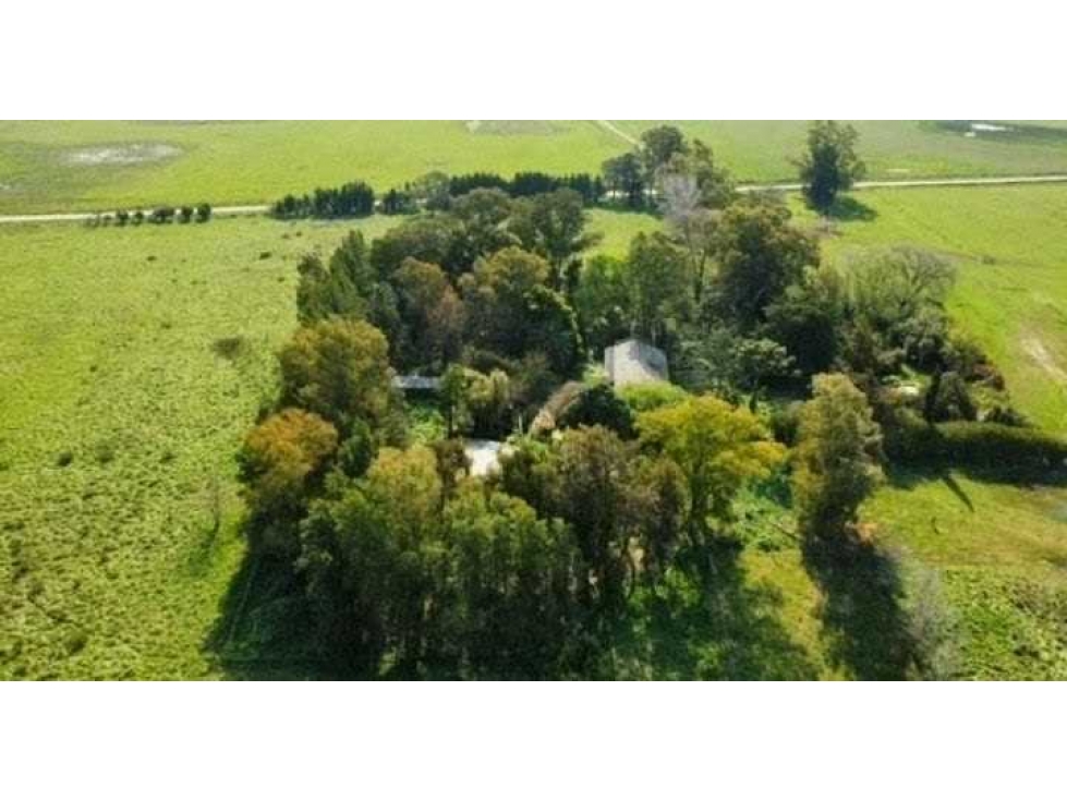 CAMPO 47 HECTAREAS, MIXTO, OLAVARRIA, BUENOS AIRES, ARGENTINA - 1