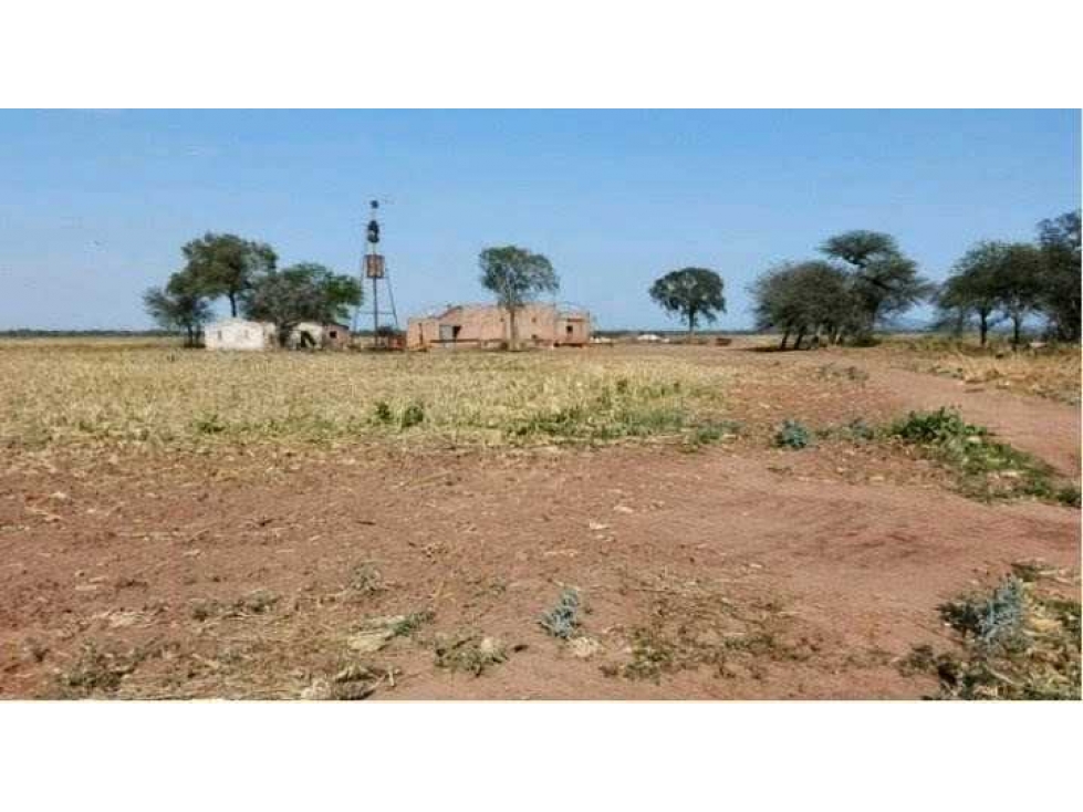 CAMPO 487 HAS, AGRICOLA, MONTE QUEMADO, SANTIAGO DEL ESTERO, ARGENTINA - 4