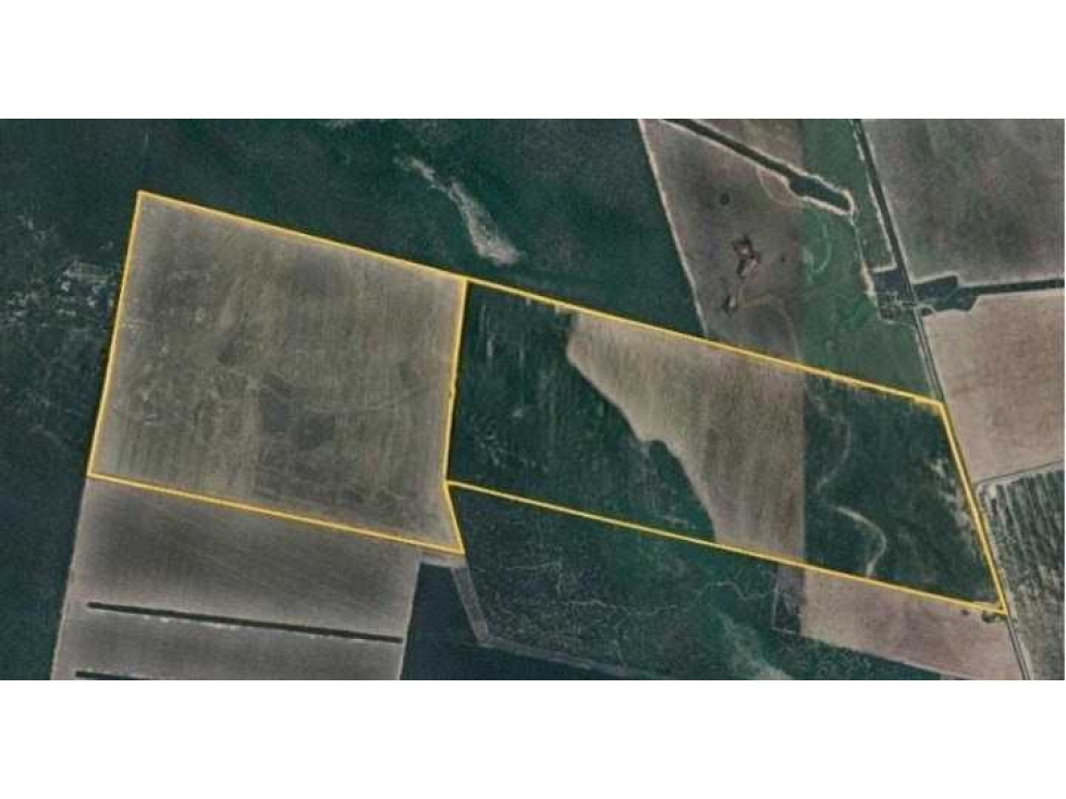 CAMPO 487 HAS, AGRICOLA, MONTE QUEMADO, SANTIAGO DEL ESTERO, ARGENTINA - 6