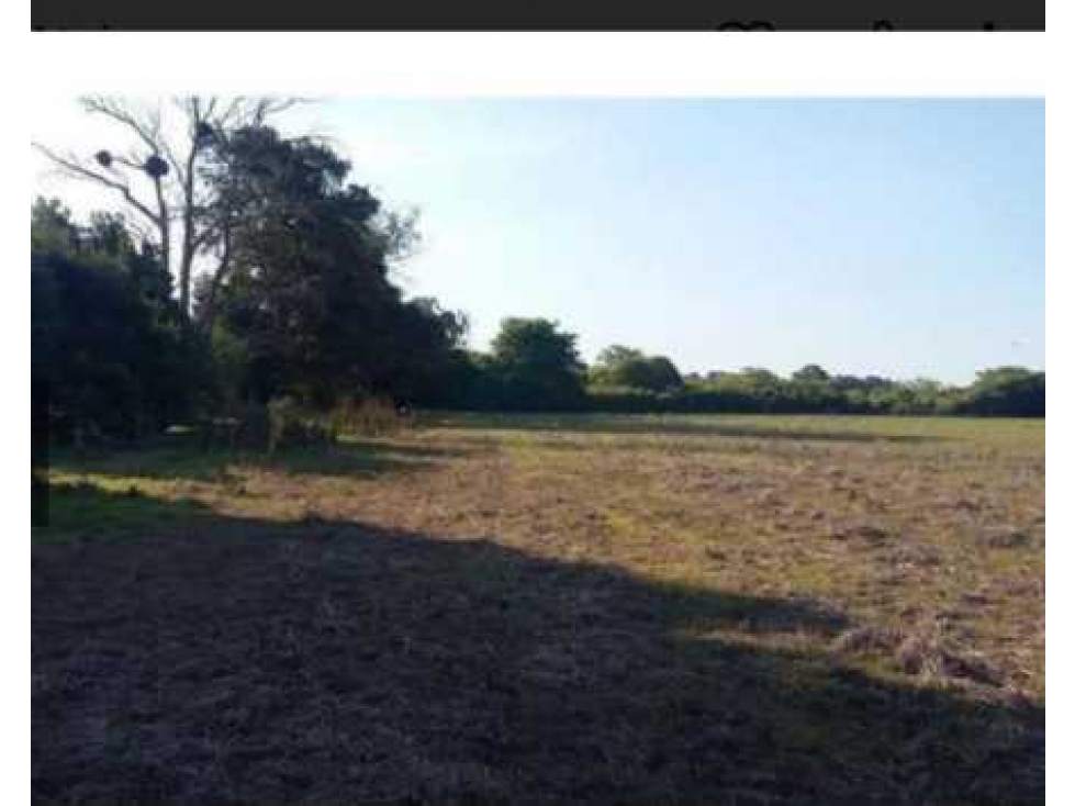 CAMPO 4 HECTAREAS ARANA, LA PLATA, BUENOS AIRES, ARGENTINA - 5
