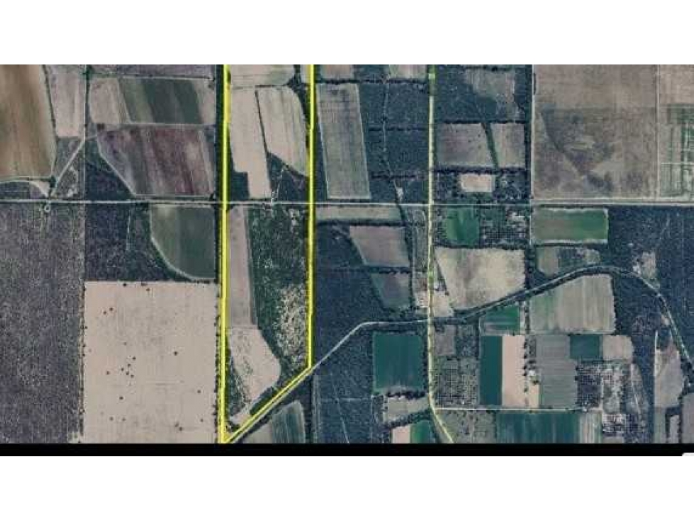 CAMPO 50 HECTAREAS, AGRICOLA, SAN PEDRO, CORDOBA, ARGENTINA - 2