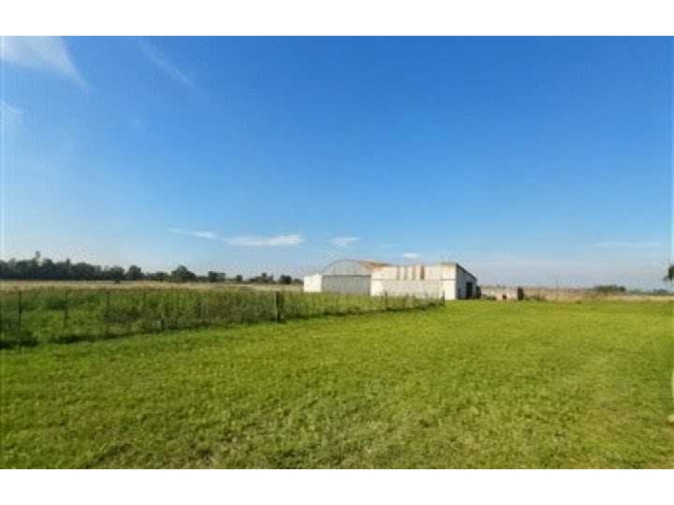 CAMPO 50 HECTAREAS, MIXTO, OLAVARRIA, BUENOS AIRES, ARGENTINA - 2