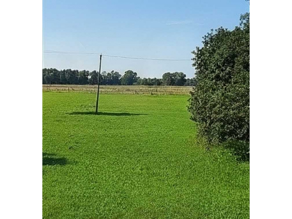CAMPO 50 HECTAREAS, MIXTO, OLAVARRIA, BUENOS AIRES, ARGENTINA - 4