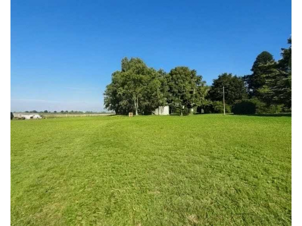 CAMPO 50 HECTAREAS, MIXTO, OLAVARRIA, BUENOS AIRES, ARGENTINA - 5