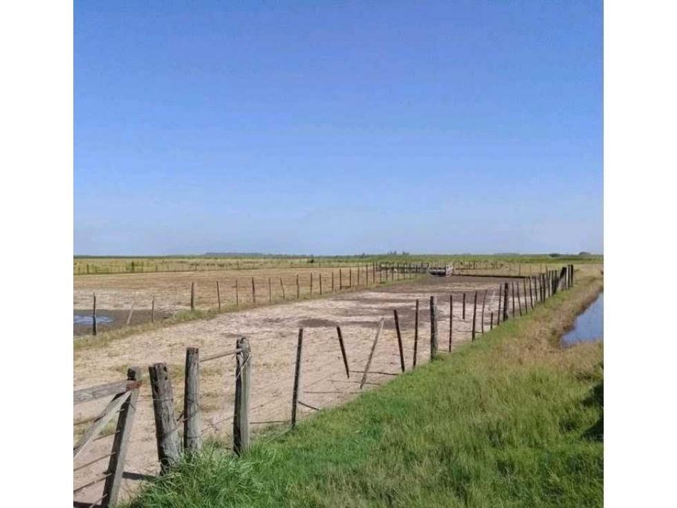 CAMPO 510 HECTAREAS, MIXTO, CORONEL ROSETI, SANTA FE, ARGENTINA - 1