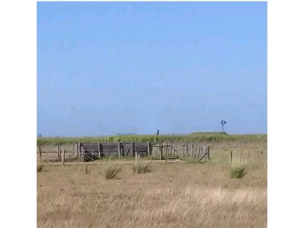 CAMPO 510 HECTAREAS, MIXTO, CORONEL ROSETI, SANTA FE, ARGENTINA - 6