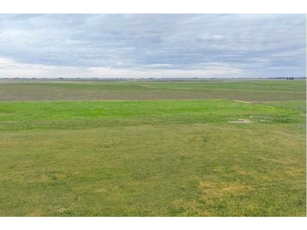 CAMPO 511 HECTAREAS, WHEELWRIGHT, GENERAL LOPEZ, SANTA FE, ARGENTINA - 2