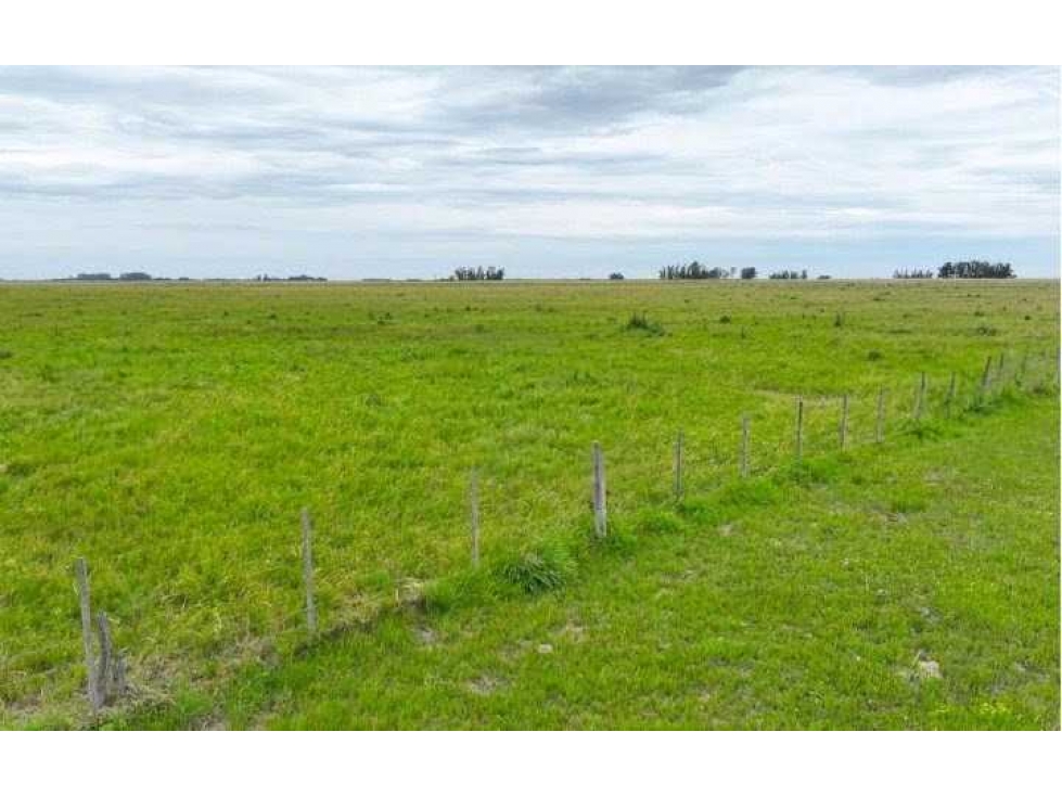 CAMPO 511 HECTAREAS, WHEELWRIGHT, GENERAL LOPEZ, SANTA FE, ARGENTINA - 6