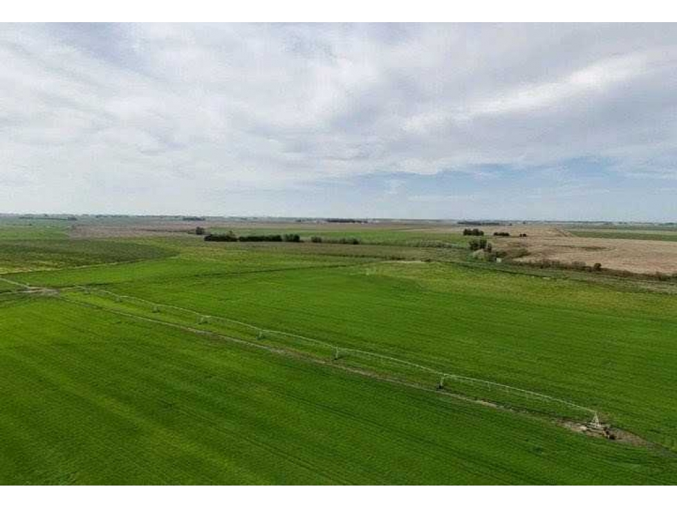 CAMPO 520 HECTAREAS, MIXTO, NECOCHEA, BUENOS AIRES, ARGENTINA - 3