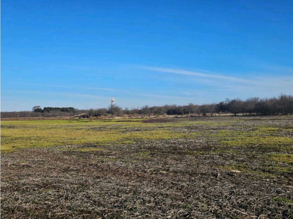 CAMPO 524 HECTAREAS,AGRICOLA, RIO CUARTO, CORDOBA, ARGENTINA - 2