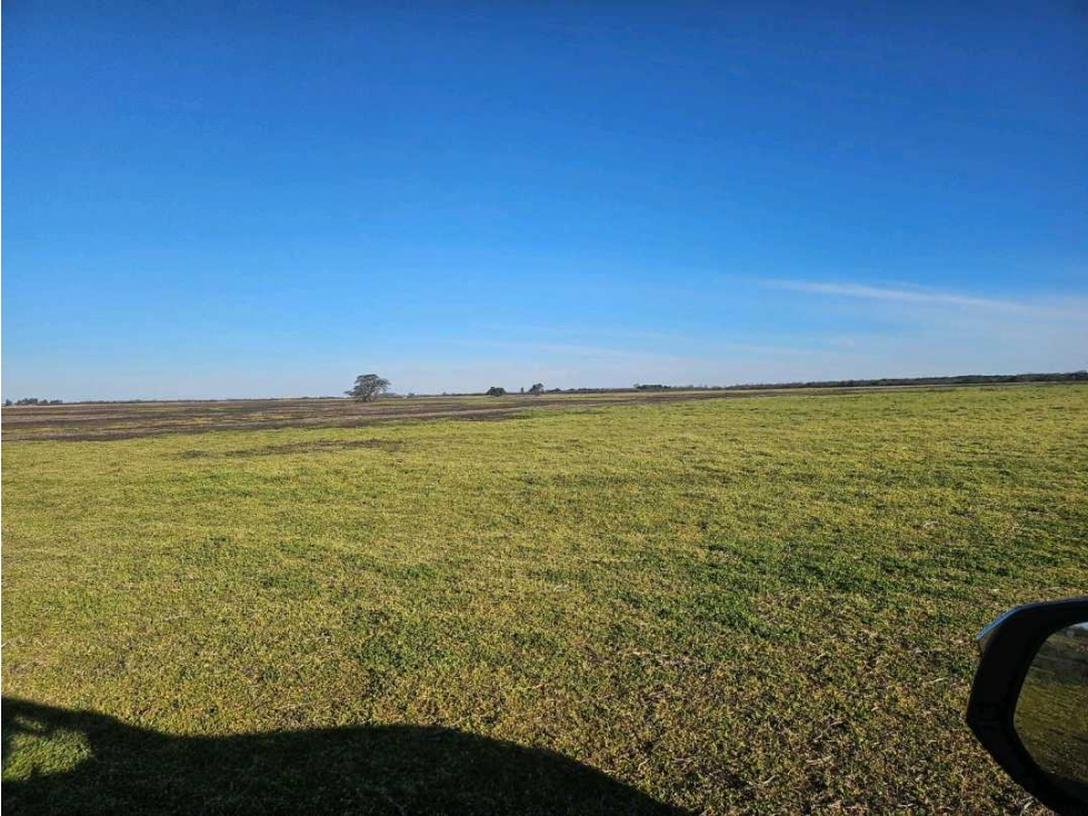 CAMPO 524 HECTAREAS,AGRICOLA, RIO CUARTO, CORDOBA, ARGENTINA - 4
