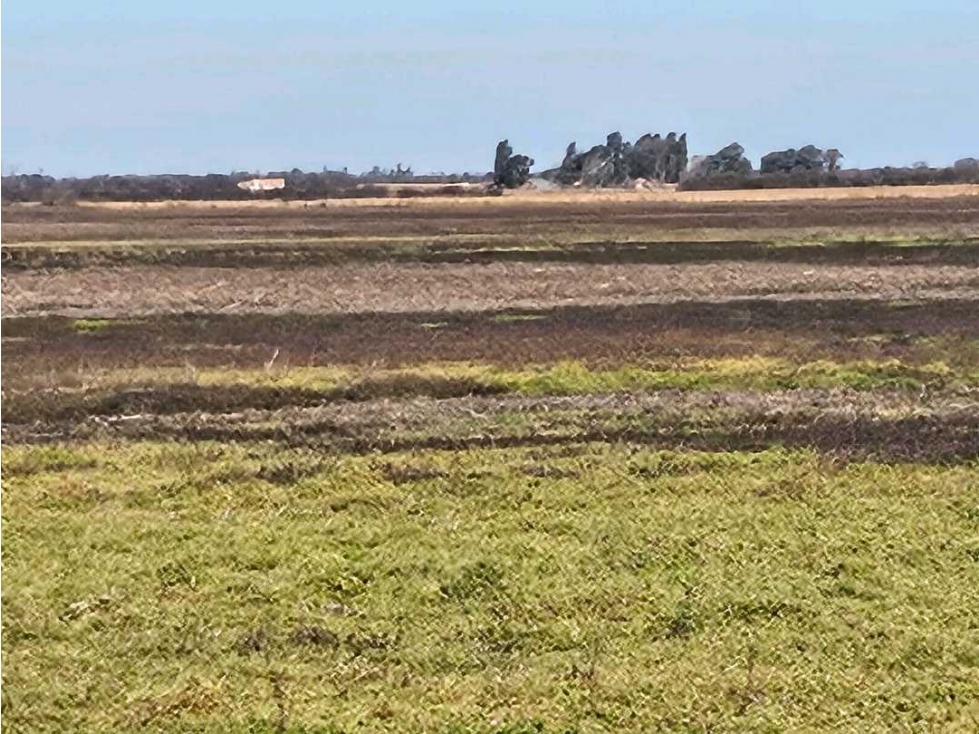 CAMPO 524 HECTAREAS,AGRICOLA, RIO CUARTO, CORDOBA, ARGENTINA - 6