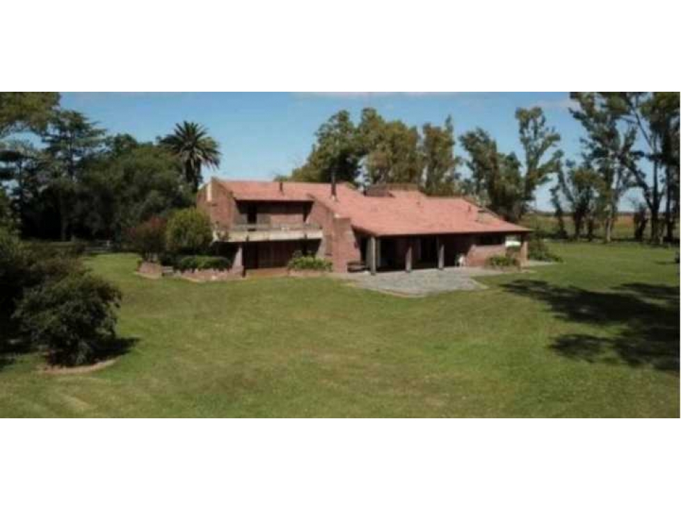 CAMPO 5382,89 HAS, TAPALQUE, PCIA.BUENOS AIRES, ARGENTINA - 2