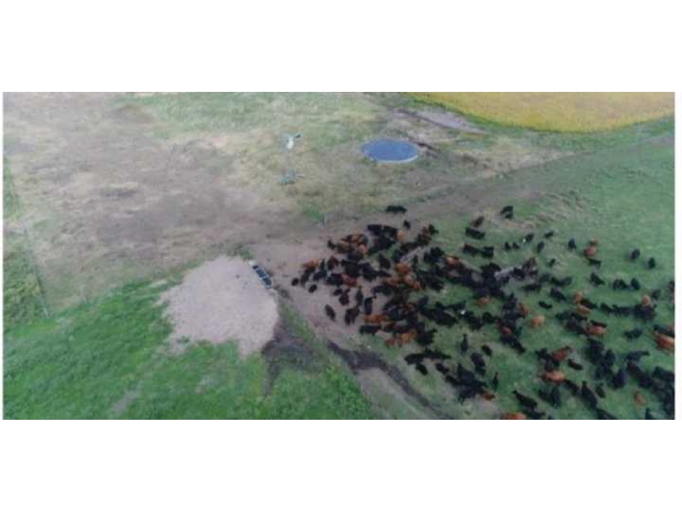 CAMPO 5382,89 HAS, TAPALQUE, PCIA.BUENOS AIRES, ARGENTINA - 3
