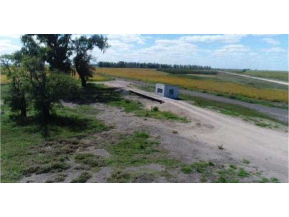 CAMPO 5382,89 HAS, TAPALQUE, PCIA.BUENOS AIRES, ARGENTINA - 5