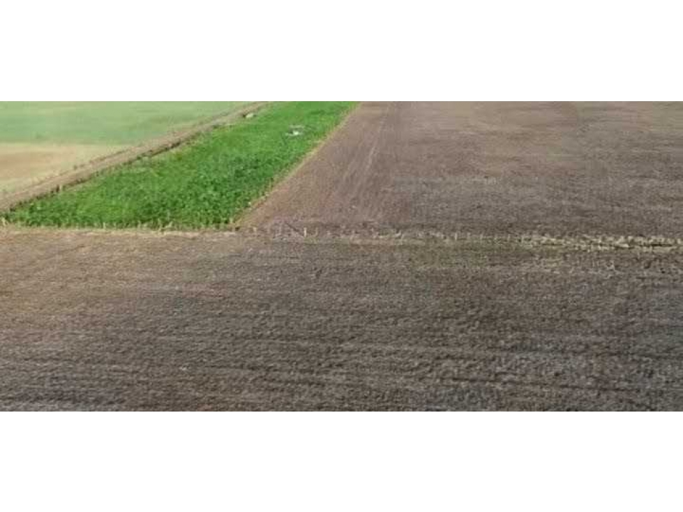 CAMPO 539 HECTAREAS, AGRICOLA, BRAGADO, BUENOS AIRES, ARGENTINA - 2
