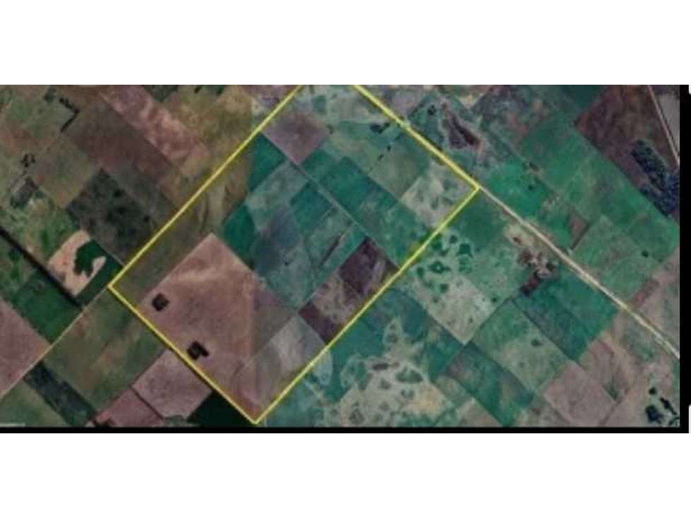 CAMPO 539 HECTAREAS, AGRICOLA, BRAGADO, BUENOS AIRES, ARGENTINA - 3