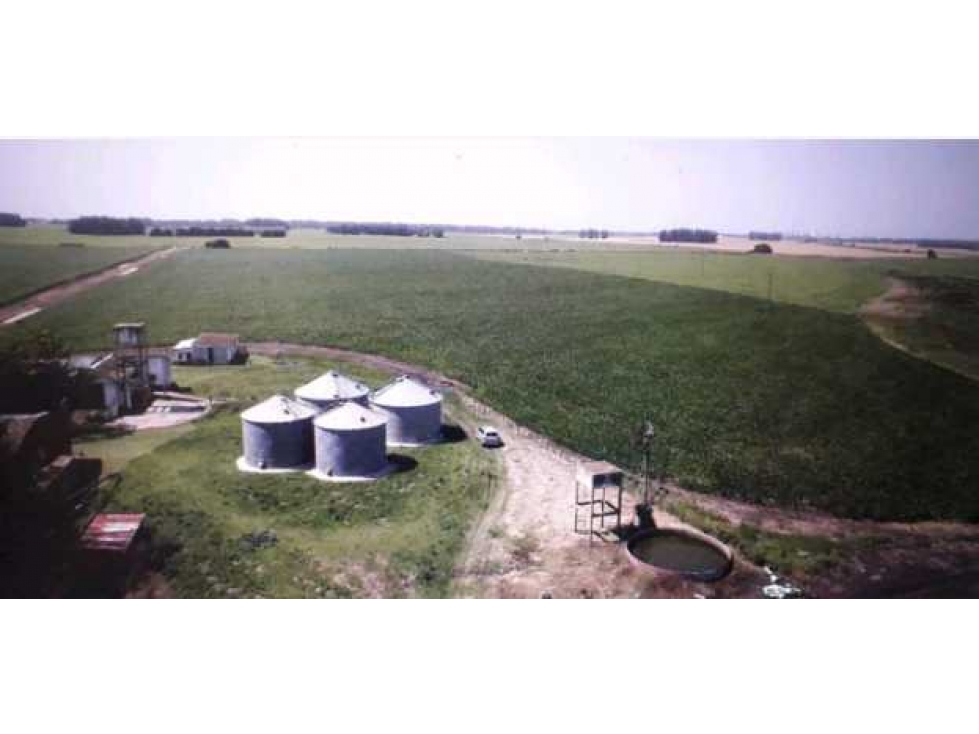 CAMPO 540 HA, MIRAMAR, PCIA BUENOS AIRES, ARGENTINA - 2