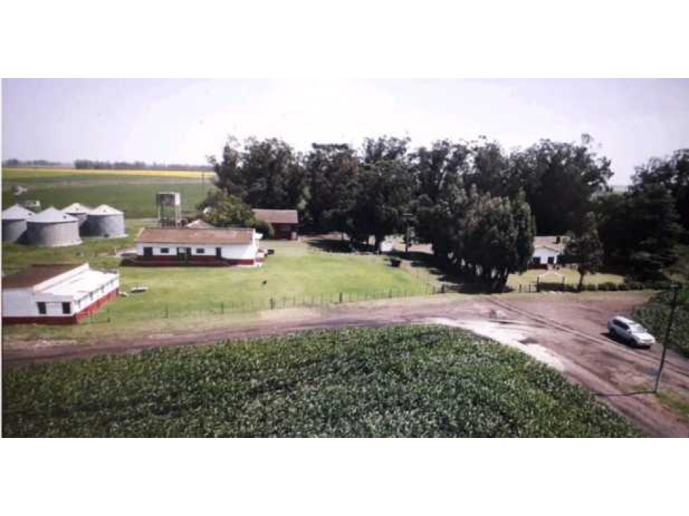 CAMPO 540 HA, MIRAMAR, PCIA BUENOS AIRES, ARGENTINA - 4