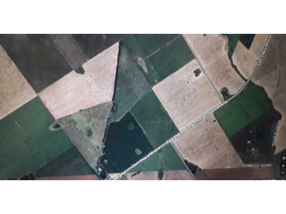 CAMPO 540 HA, MIRAMAR, PCIA BUENOS AIRES, ARGENTINA - 5