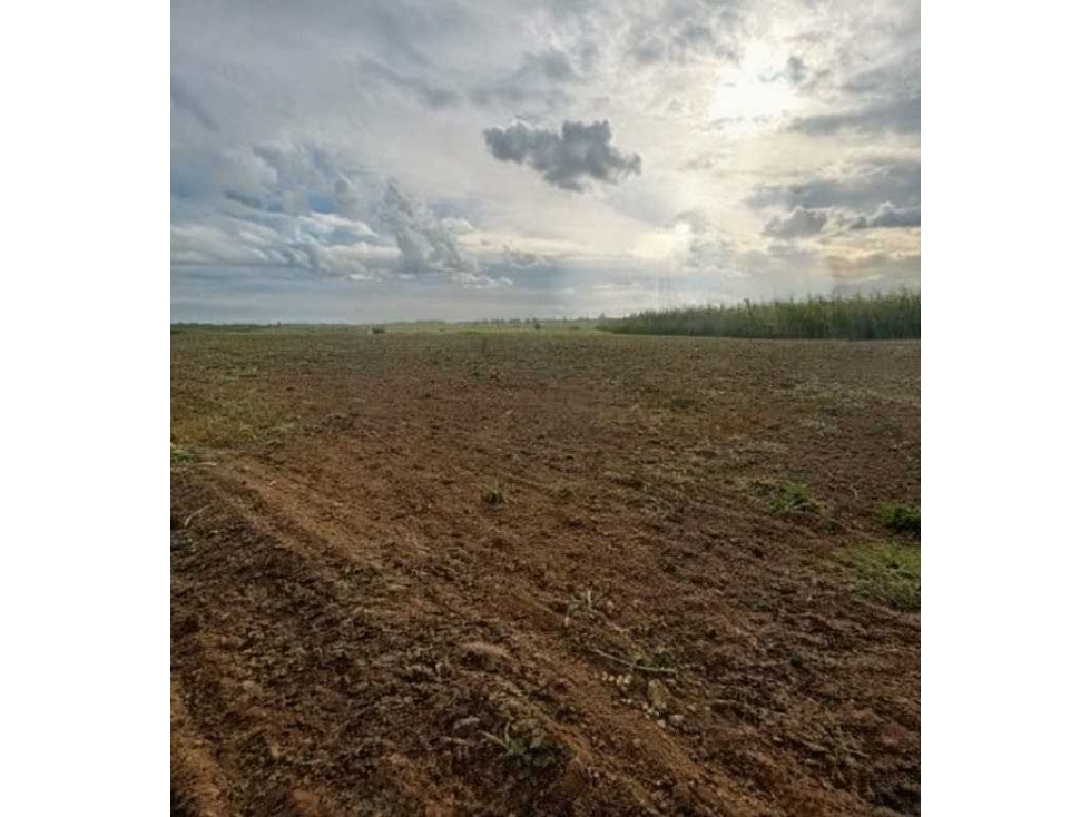 CAMPO 54 HECTAREAS, MIXTO, PERGAMINO, BUENOS AIRES, ARGENTINA - 1