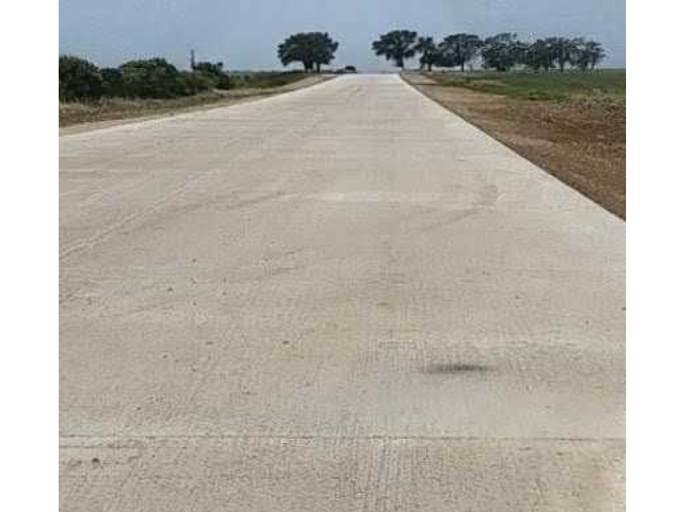 CAMPO 550 HECTAREAS, AGRICOLA, MAR DEL PLATA, BUENOS AIRES, ARGENTINA - 4