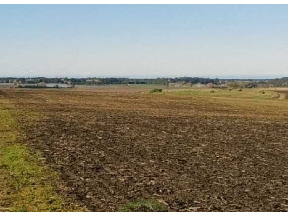 CAMPO 550 HECTAREAS, AGRICOLA, MAR DEL PLATA, BUENOS AIRES, ARGENTINA - 5