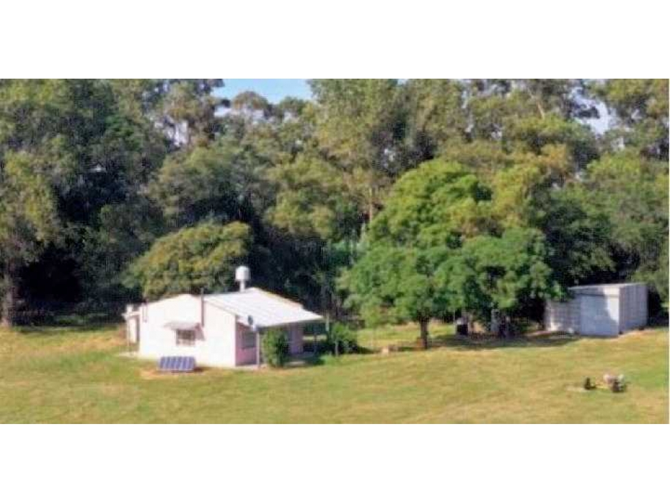 CAMPO 55 HECTAREAS, AGRICOLA, SALADILLO, BUENOS AIRES, ARGENTINA - 4