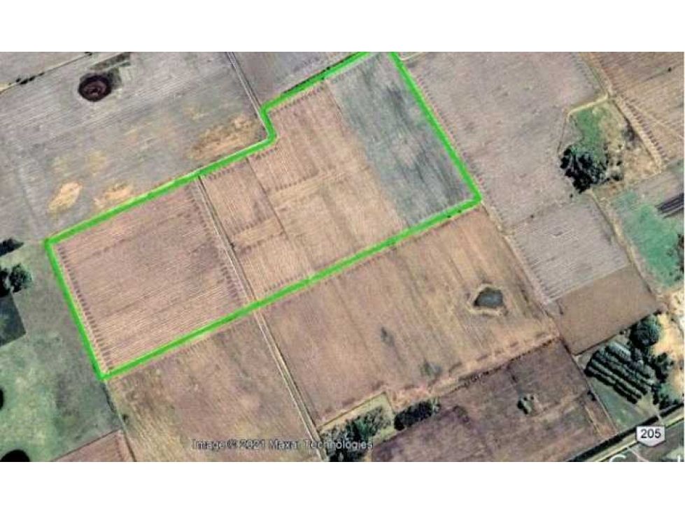 CAMPO 55 HECTAREAS, AGRICOLA, SALADILLO, BUENOS AIRES, ARGENTINA - 5