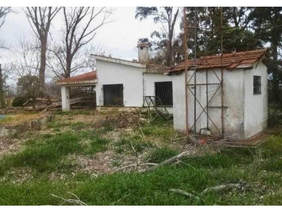 CAMPO 56 HECTAREAS, AGRICOLA, SUIPACHA, BUENOS AIRES, ARGENTINA - 4