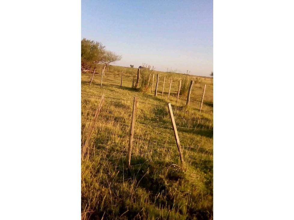 CAMPO 581 HECTAREAS, MIXTO, BALCARCE, BUENOS AIRES, ARGENTINA - 2