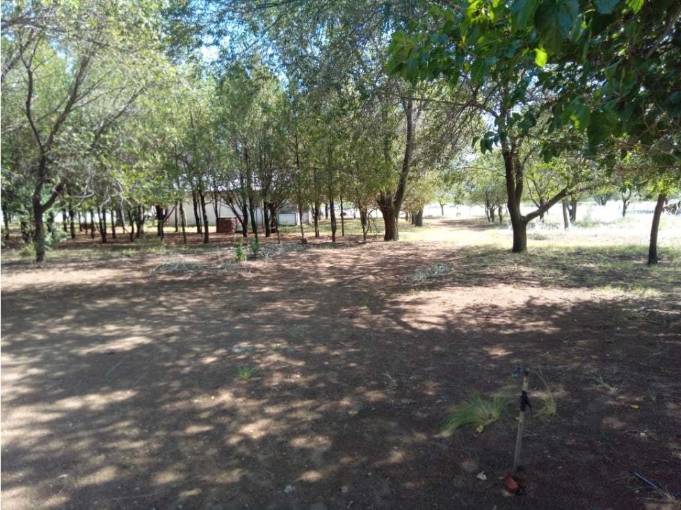 CAMPO 6000 HAS GANADERAS, GOBERNADOR DUPUY, SAN LUIS, ARGENTINA - 2