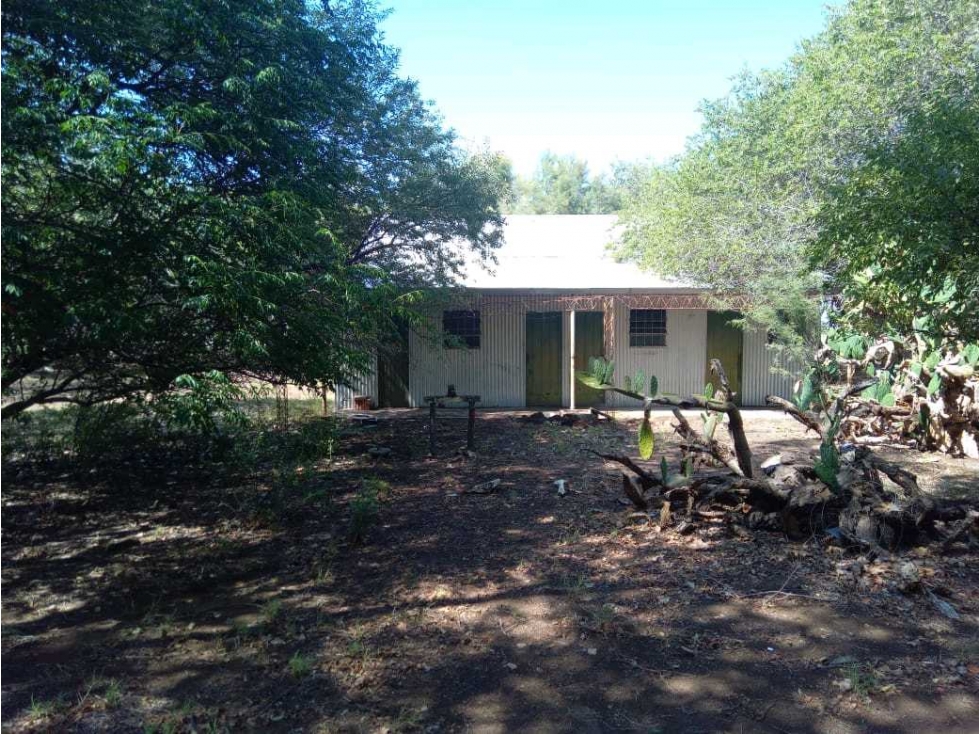 CAMPO 6000 HAS GANADERAS, GOBERNADOR DUPUY, SAN LUIS, ARGENTINA - 5