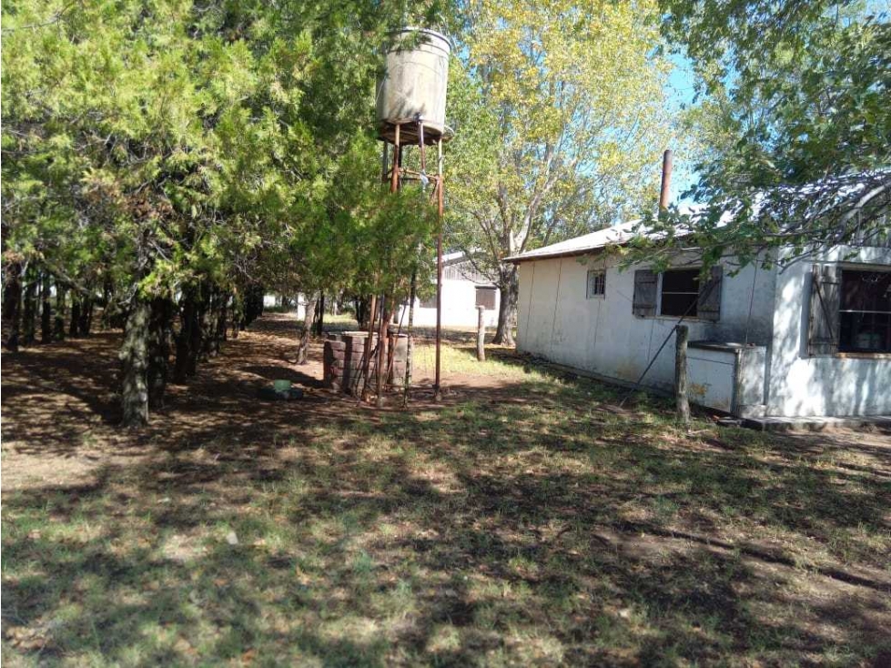 CAMPO 6000 HAS GANADERAS, GOBERNADOR DUPUY, SAN LUIS, ARGENTINA - 6
