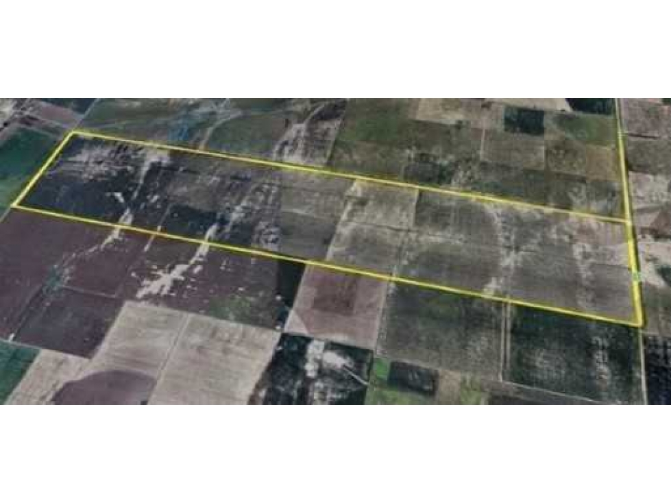 CAMPO 600 HECTAREAS, AGRICOLA, CINTRA, CORDOBA, ARGENTINA - 4