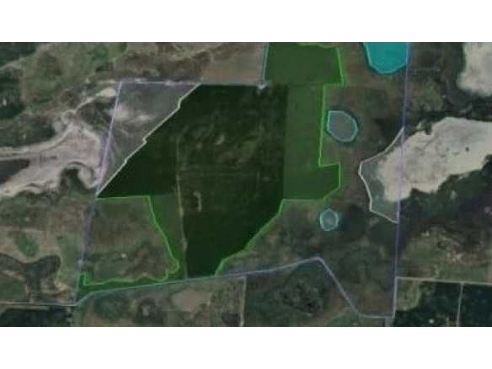 CAMPO 600 HECTAREAS, MIXTO, LINCOLN, BUENOS AIRES, ARGENTINA - 2