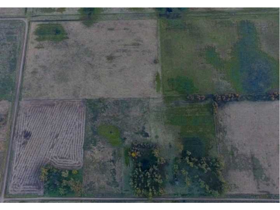CAMPO 60 HECTAREAS, MIXTO, LAS FLORES, BUENOS AIRES, ARGENTINA - 4
